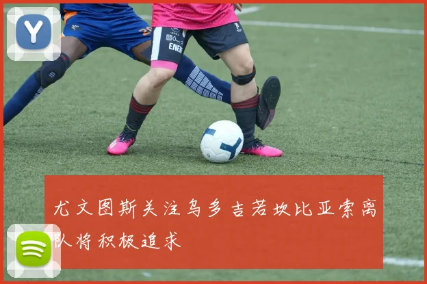 尤文图斯关注乌多吉若坎比亚索离队将积极追求